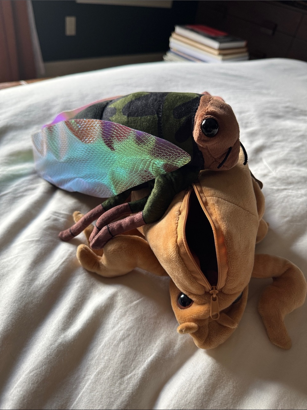 Cicada plushie - Picture 7 of 7